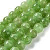 Dyed Natural Malaysia Jade Beads Strands G-G021-02B-04-2