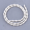 Freshwater Shell Beads Strands SHEL-T012-48-2