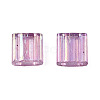 Plating 2-Hole Transparent Glass Seed Beads LS-SEED-N004-008-2