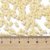 Glass Seed Beads SEED-L011-04A-09-4