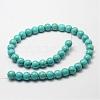 Synthetic Howlite Bead Strand G-P228-04-10mm-2