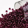 TOHO 8/0 Round Beads X-SEED-TR08-2226-1