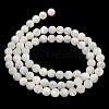 Natural Sea Shell Beads Strands SSHEL-K013-5.5mm-A-4