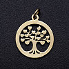 304 Stainless Steel Pendants STAS-T046-JA350-2A-G-1