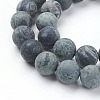 Natural Kambaba Jasper Beads Strands G-P430-02-D-3