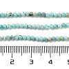 Natural HuBei Turquoise Beads Strands G-G792-38-01-4