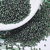 MIYUKI Delica Beads SEED-X0054-DB0690-4