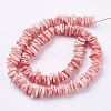 Natural Sea Shell Beads Strands X-BSHE-K012-08D-2