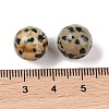 Natural Dalmatian Jasper No Hole Sphere Beads G-K353-04B-16-3