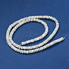 Natural Trochus Shell Beads Strands SSHEL-H072-11-2