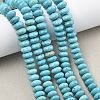 Dyed Natural Magnesite Beads Strands G-B173-A01-01-1