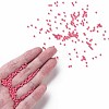 11/0 Grade A Baking Paint Glass Seed Beads X-SEED-N001-A-1045-4