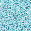 Glass Seed Beads SEED-S060-A-967-3