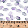 Frosted Glass Seed Beads SEED-N008-05I-4