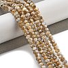 Natural Freshwater Shell Beads Strands BSHE-G038-05-2