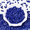 Baking Paint Pearlized Glass Seed Beads SEED-T008-03S-2