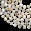 Natural White Moonstone Beads Strands G-C277-A01-10mm-4