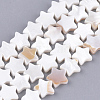 Natural Freshwater Shell Beads Strands X-SHEL-Q021-07-1