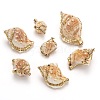 Natural Spiral Shell Pendants SSHEL-E556-06-1