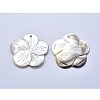 Shell Pendants SSHEL-P015-39-2