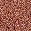 MIYUKI Delica Beads Small SEED-X0054-DBS0866-3