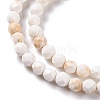 Natural Howlite Beads Strands G-C025-02B-09-4