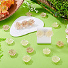 12Pcs 2 Colors Transaprent Resin Enamel Cabochons CRES-TA0001-91-7