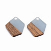 Transparent Resin & Walnut Wood Pendants RESI-S384-003A-B02-2