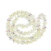 Electroplate Transparent Glass Beads Strands EGLA-Q136-01A-05-2