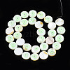 Natural Freshwater Shell Enamel Beads SHEL-N026-194-03B-2