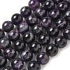 Natural Amethyst Beads Strands G-L595-C02-04-1