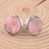 Flat Round 304 Stainless Steel Druzy Resin Ear Studs X-EJEW-JE01964-2