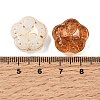 Painted Transparent Glass Beads GL-CBA48E7-01-3