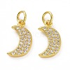 Brass Micro Pave Cubic Zirconia Pendants KK-E068-VF049-2