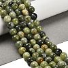 Natural TaiWan Jade Beads Strands G-B128-A07-03-2