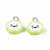 Handmade Polymer Clay Charms CLAY-N006-37B-01-4