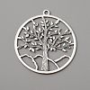 Tibetan Style Alloy Pendants FIND-WH0110-203-2