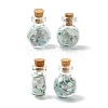 4Pcs Glass Wishing Bottle Decorations PALLOY-JF03100-1