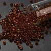 TOHO 6/0 Round Beads X-SEED-TR06-2154-1
