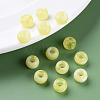 Acrylic European Beads MACR-S375-002B-08-6