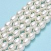 Natural Cultured Freshwater Pearl Beads Strands PEAR-J006-17B-01-2