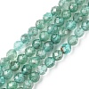 Natural Apatite Beads Strands G-F748-J01-02-1