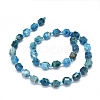 Natural Apatite Beads Strands G-O201B-98-2