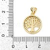 Rack Plating Brass Micro Pave Cubic Zirconia Pendants KK-H509-20G-01-3