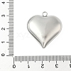 304 Stainless Steel Pendants STAS-S186-06B-P-3