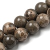 Natural Map Stone/Picasso Stone Beads Strands G-R494-A24-04-1