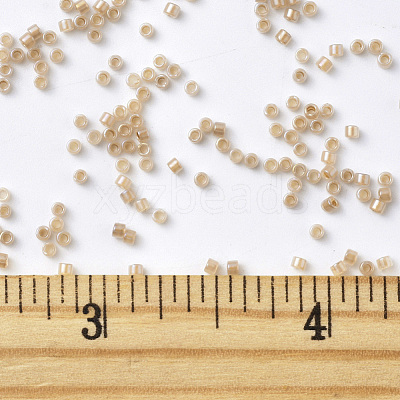 MIYUKI Delica Beads SEED-JP0008-DB1731-1