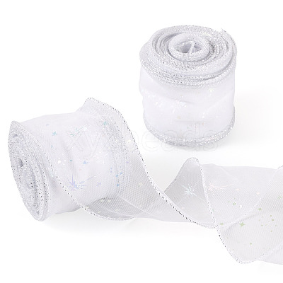 Polyester Deco Mesh Ribbons OCOR-TAC0024-004E-1