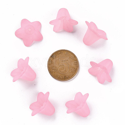 Transparent Acrylic Beads PLF018-02-1