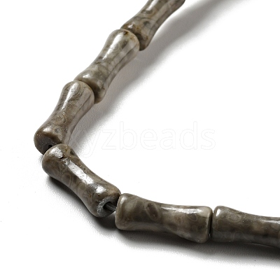 Natural Fossil Coral Beads Strands G-C245-03-1